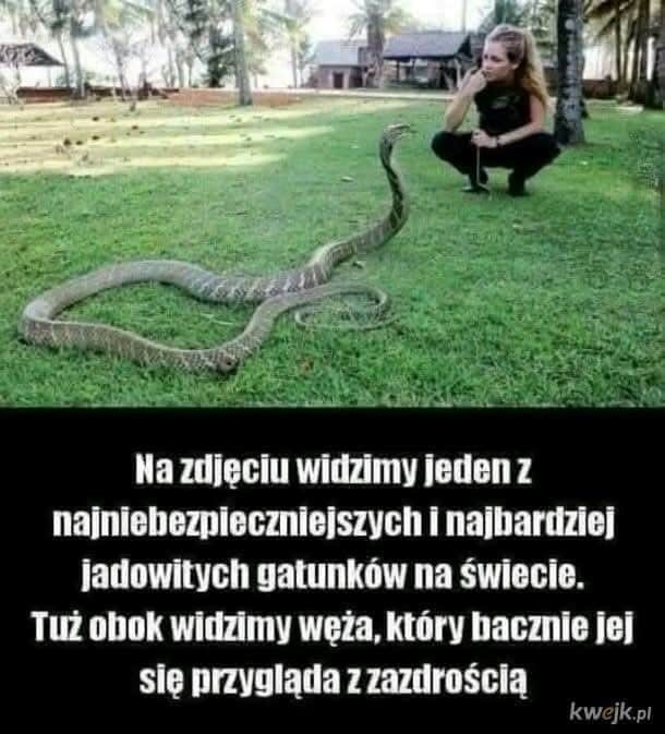 5a99ea47-7960-41da-98b0-7306d88e6f76