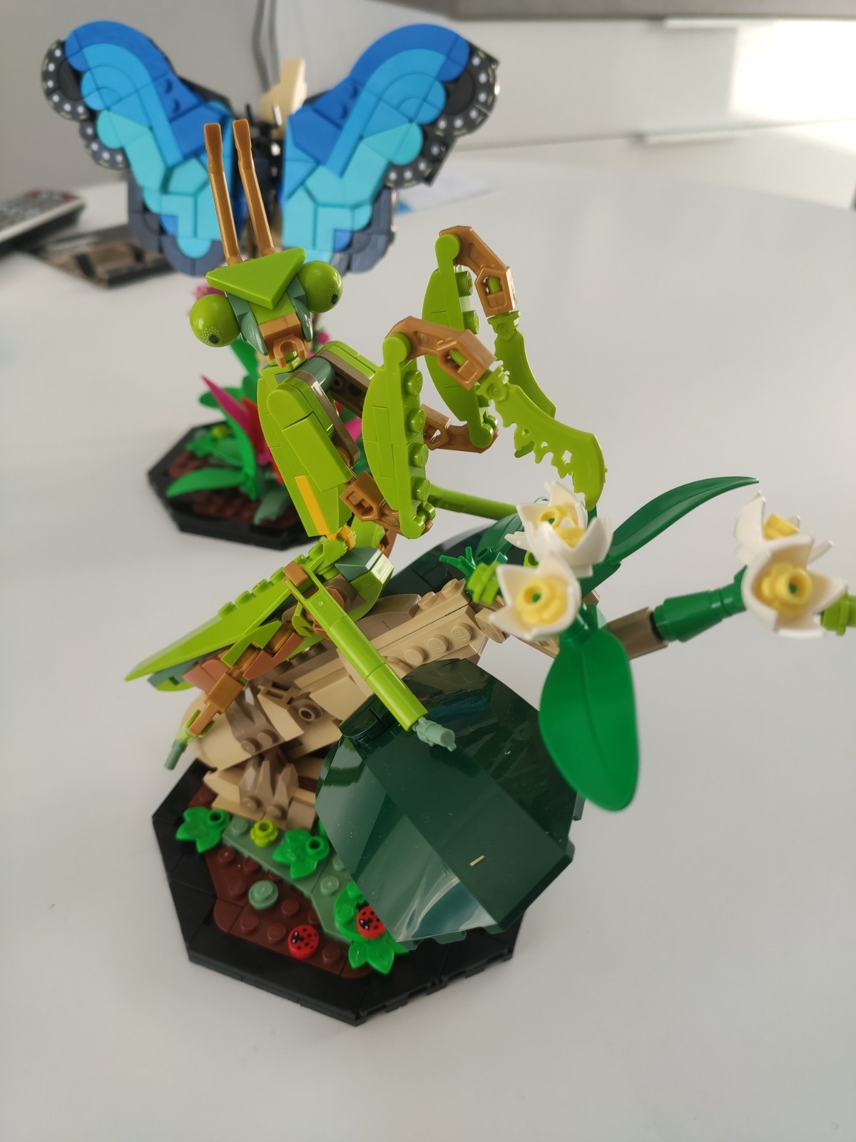 52530e59-6598-4cb5-98b8-a996920b0dbd