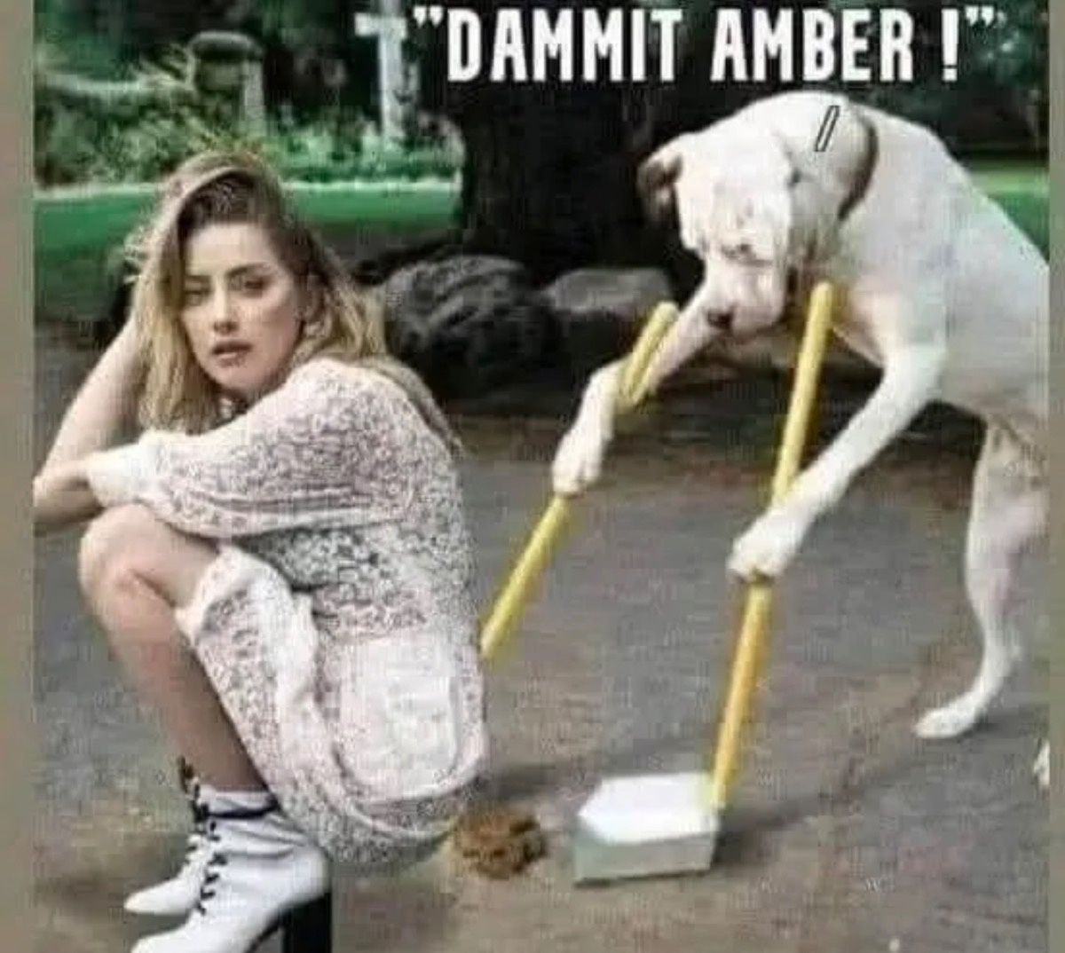 8379bae8-a6f3-47a9-ac7a-e166990d233a