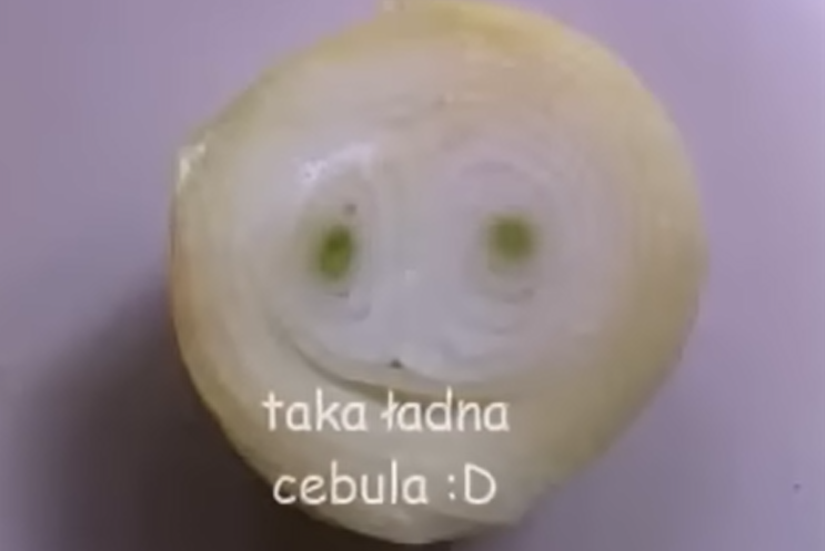 255cd363-eef6-478f-ad33-f2f5bd2cbf12