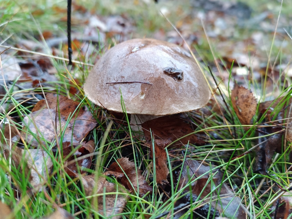 255c36f6-ff98-4bff-979e-82bcf21e6707