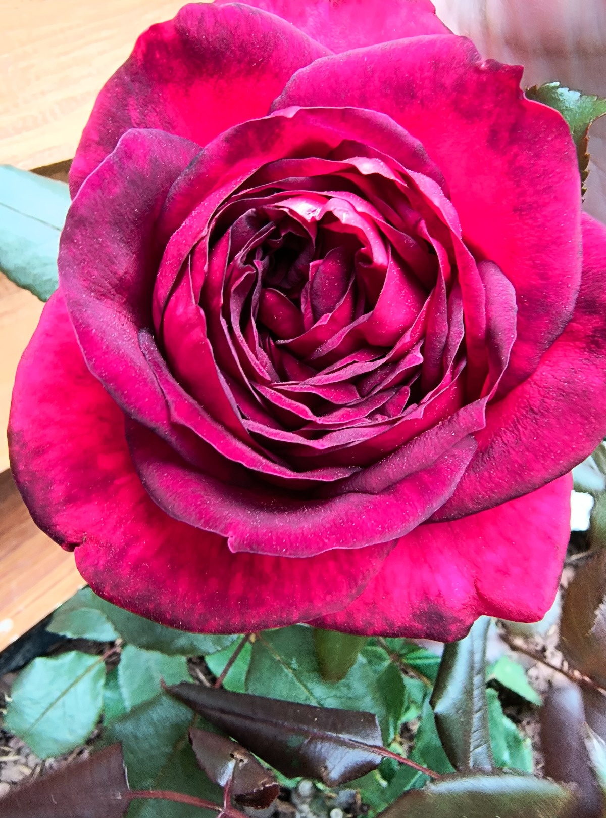 51281a15-6224-4c46-88a6-3b5dddbea321