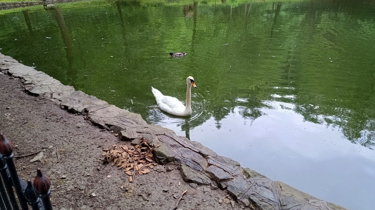 f4cee5b8-2047-4b9a-8bed-f8e309c70b3f