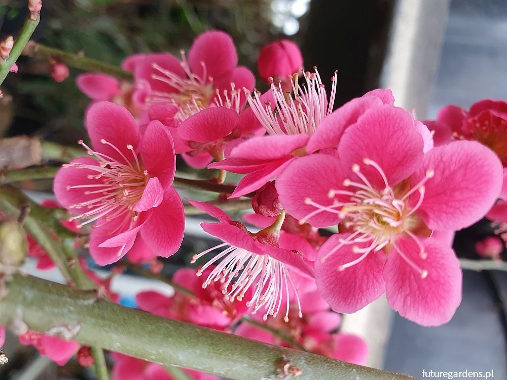 1eba2161-5cef-4dfc-9630-30ae59b6ad4f