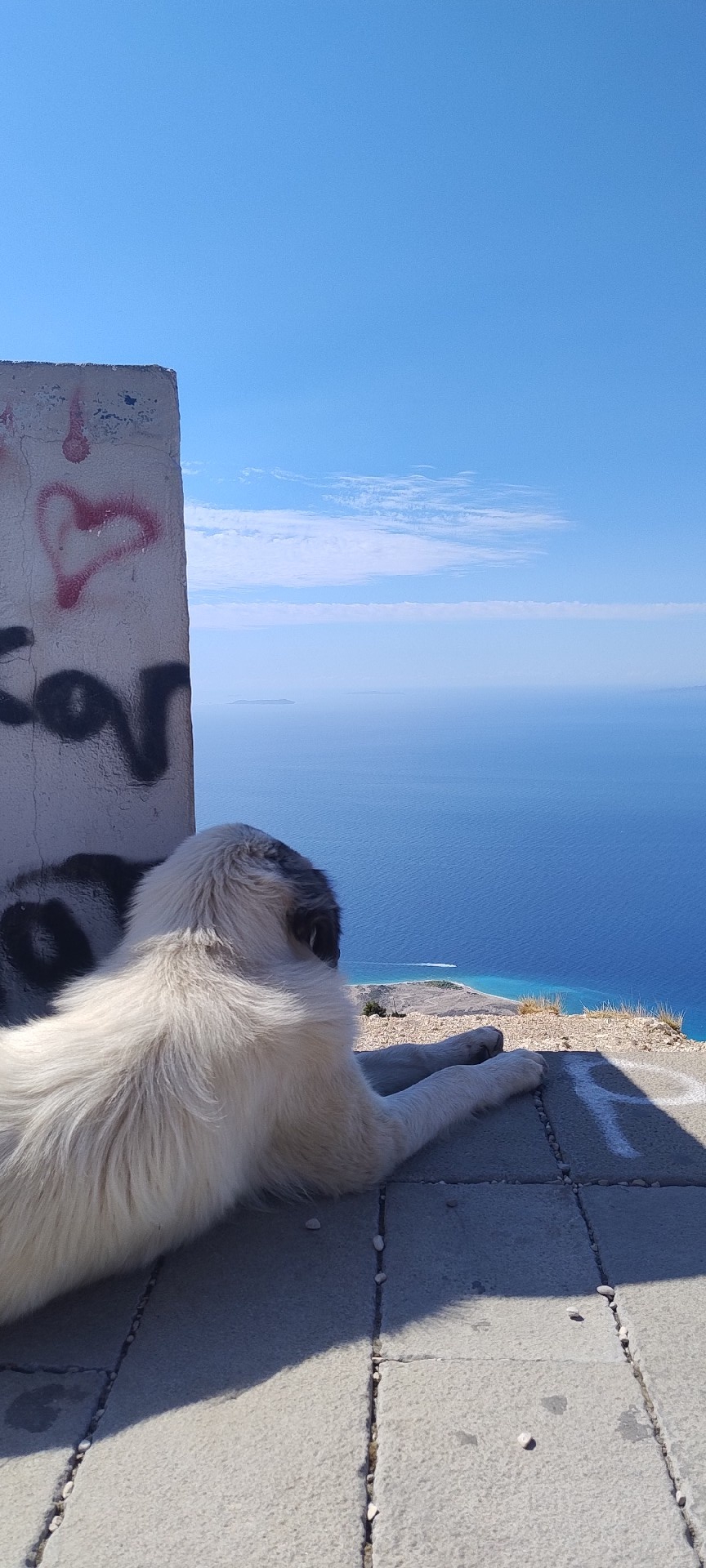 7c3c086e-86a8-4d49-9fd9-d9dc1a5c11d7