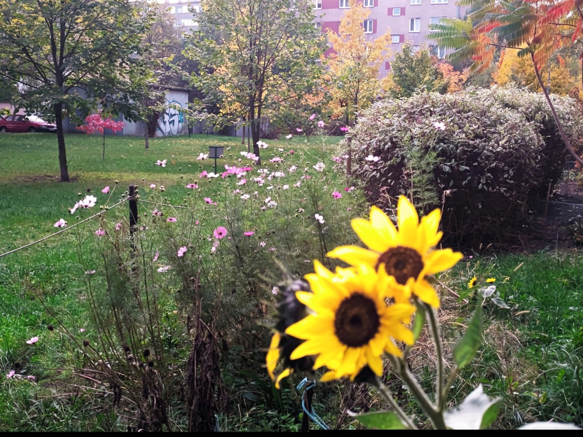 19a91b24-5120-4f3c-ab6c-8168ca663995