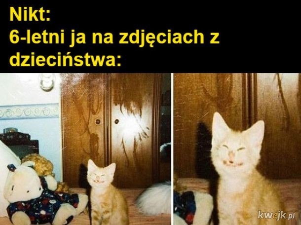 6afe819f-40e0-474d-b382-507dfa9fc542