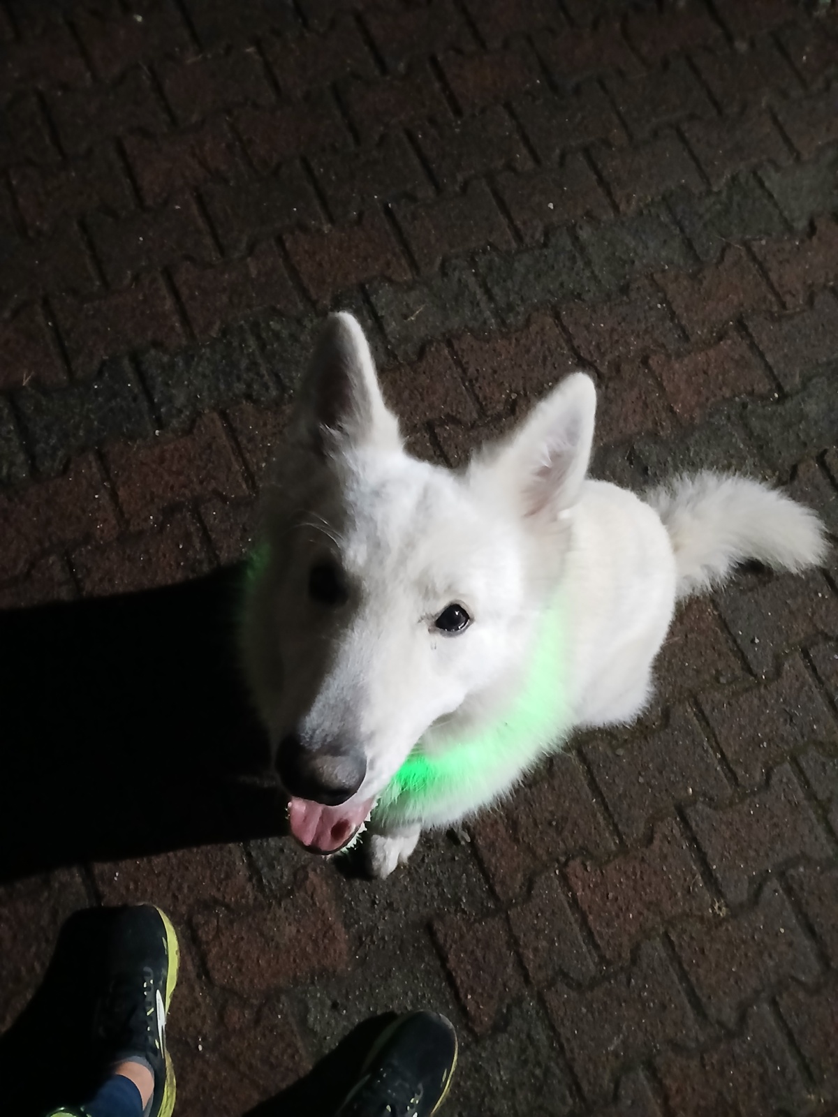 0beb5e1e-3ea2-4144-83a9-22e202924e58