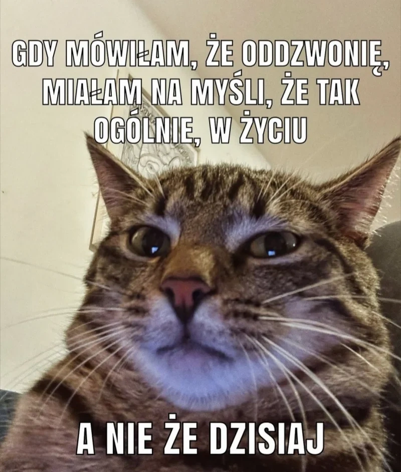 095459a7-25e1-443f-ba98-af820c91723a