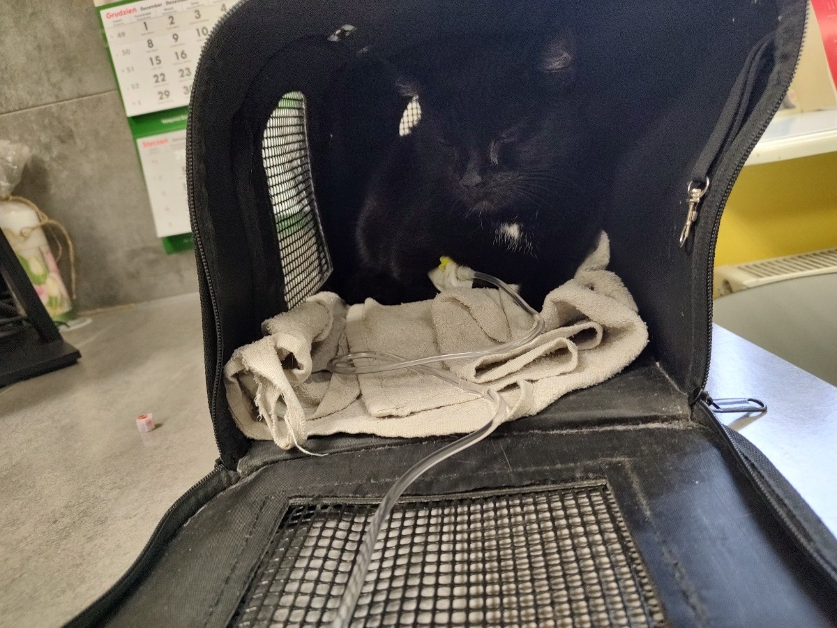 ee42b791-6585-4cd4-8464-b0748e3df00e