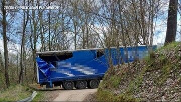 Zbytnio zaufał nawigacji. Uszkodził dwa budynki, spędził noc w lesie