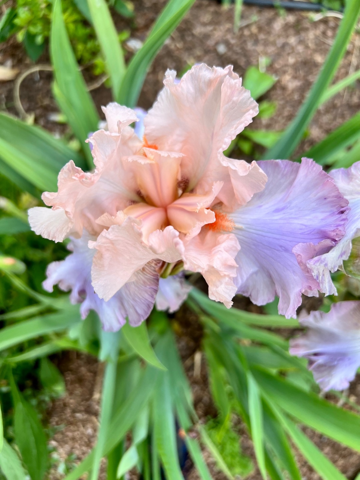 b9211e89-44e6-45a5-8c70-fd9f16d6b7e0