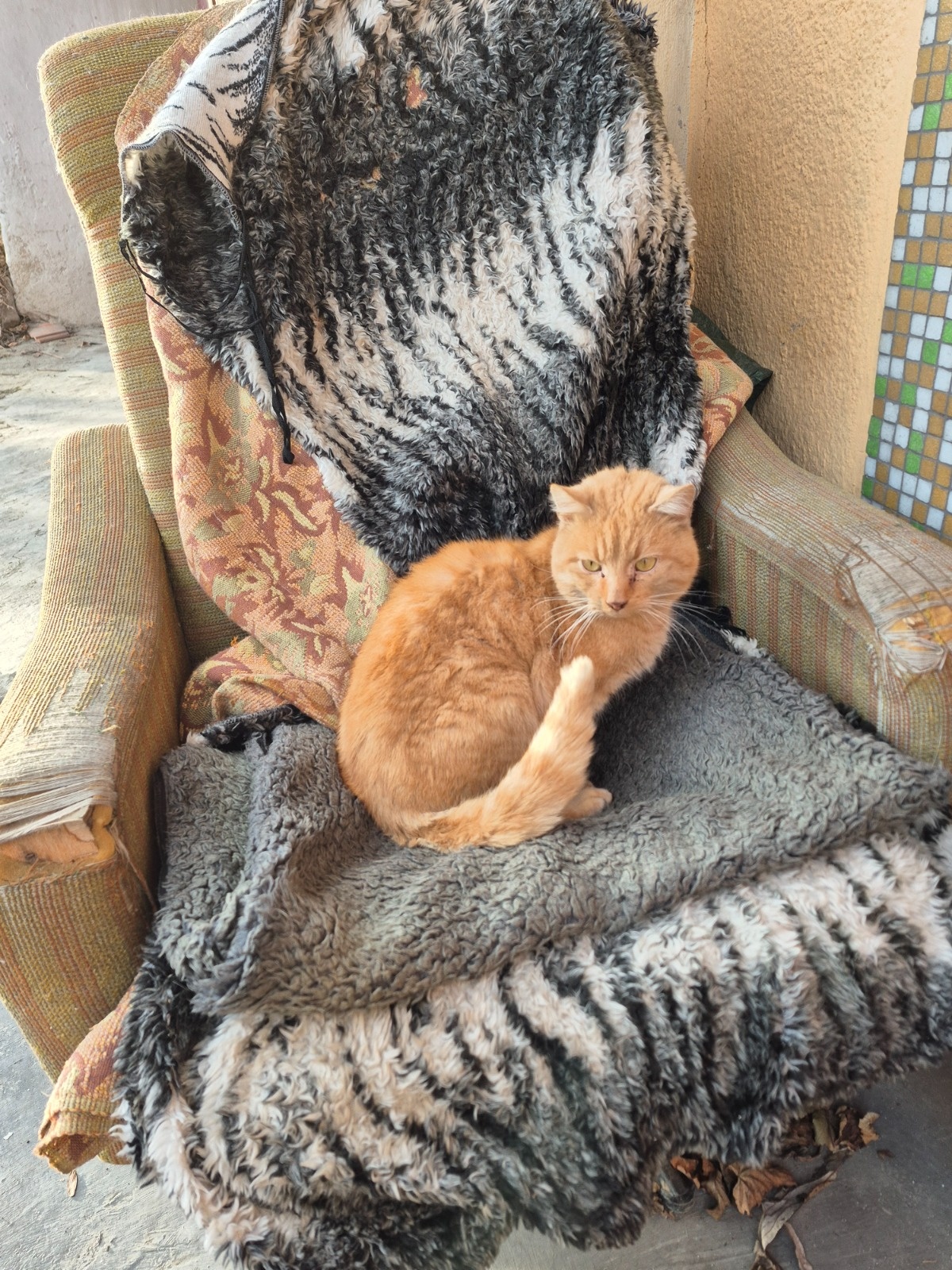 694b5389-5c49-4591-b634-e3bd2894df65