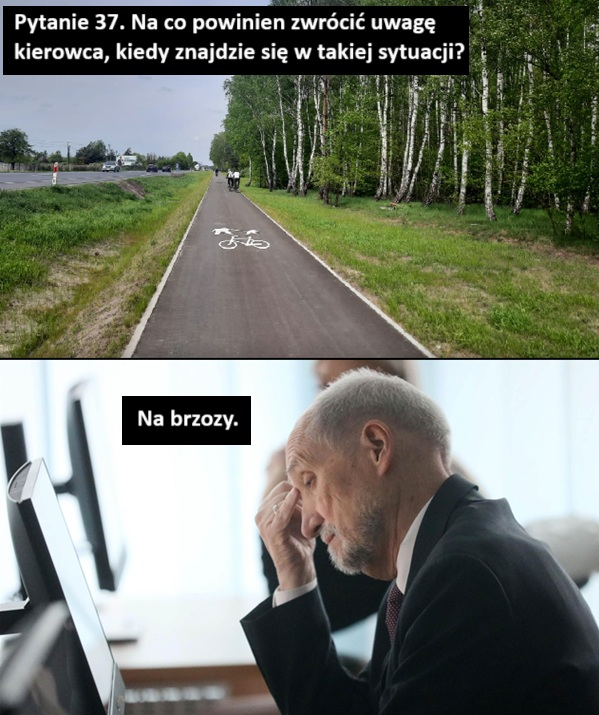 a12c7420-501b-4009-aab7-944762944d7b