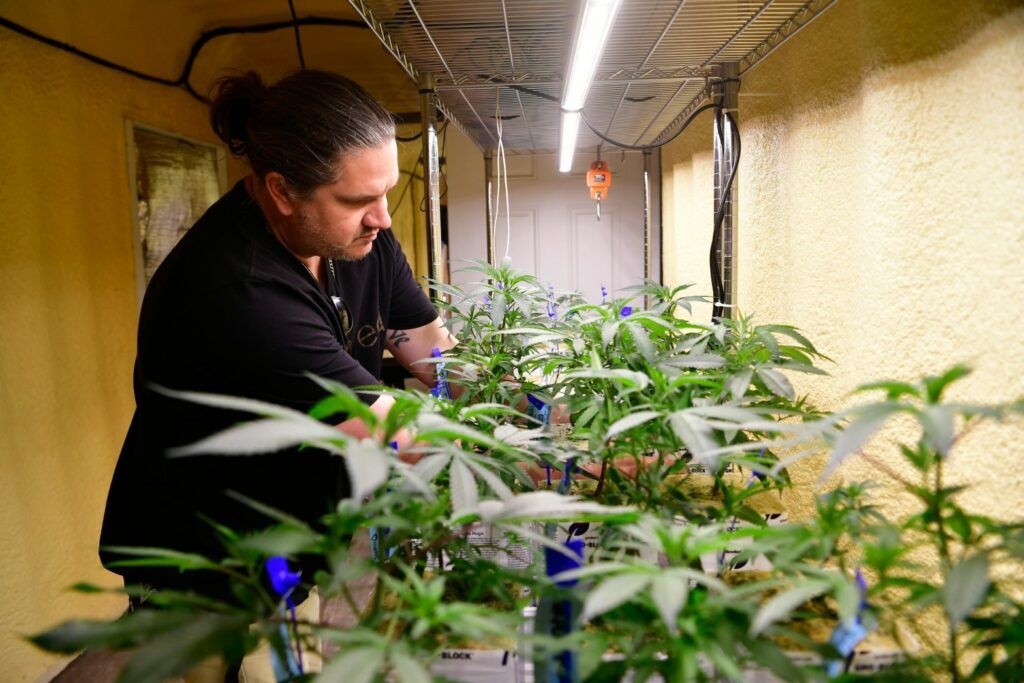 Ekologiczna uprawa roślin krok po kroku