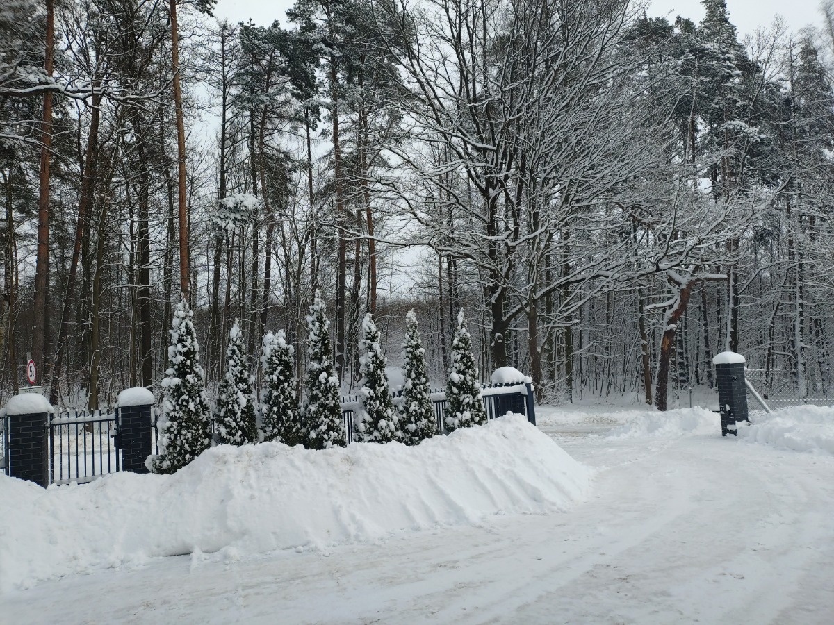 8da2504e-3916-43b2-ac26-6d5504f98a1e