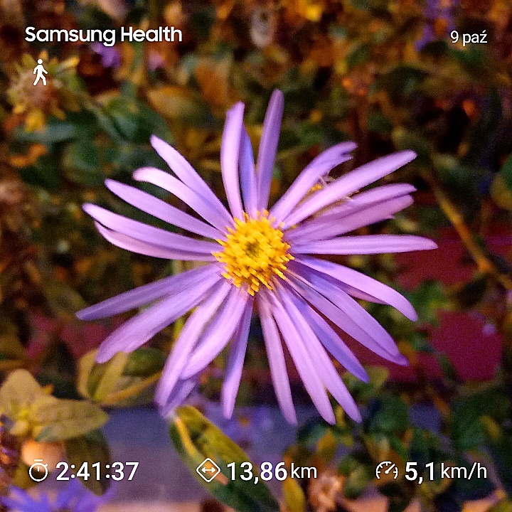 e449637b-0ab2-4792-bc9a-10f65c39fcd8