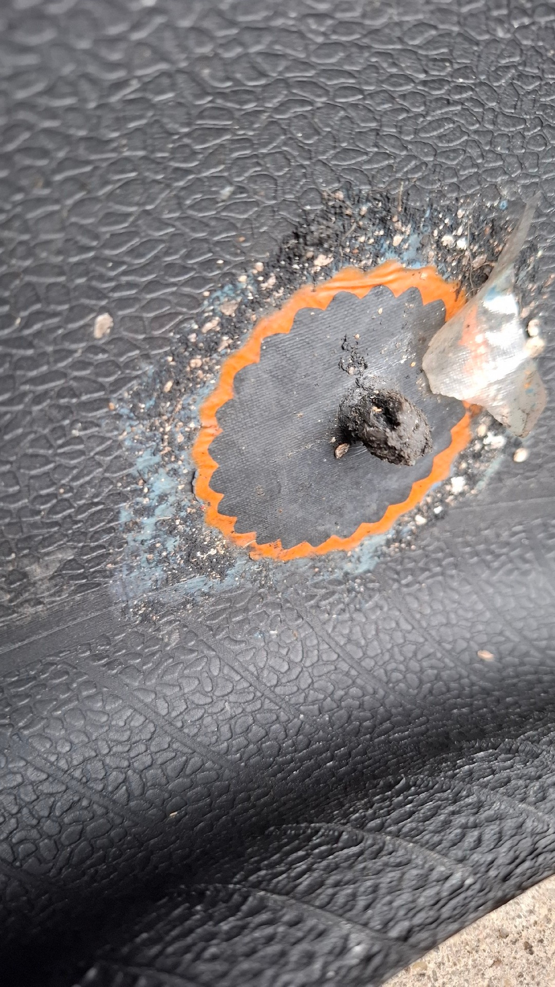 bf424879-6119-47f1-b3e9-26251eff17b6