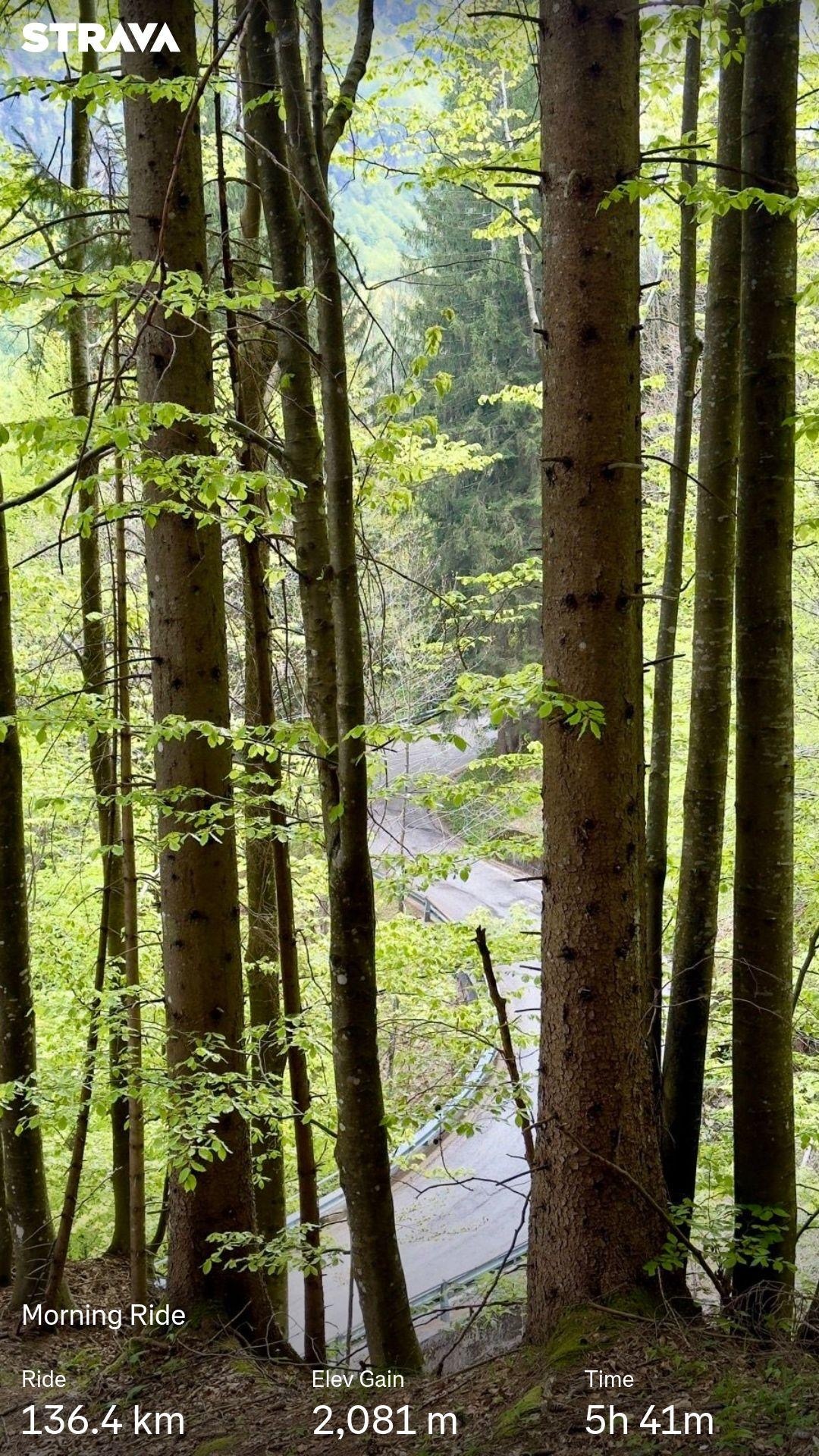 a3bb4e27-a1af-4f18-ac20-54d885a26090