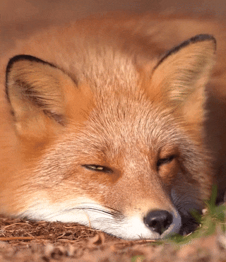 297cbd91-6b4b-4b1f-852f-2e36bdee6bc6