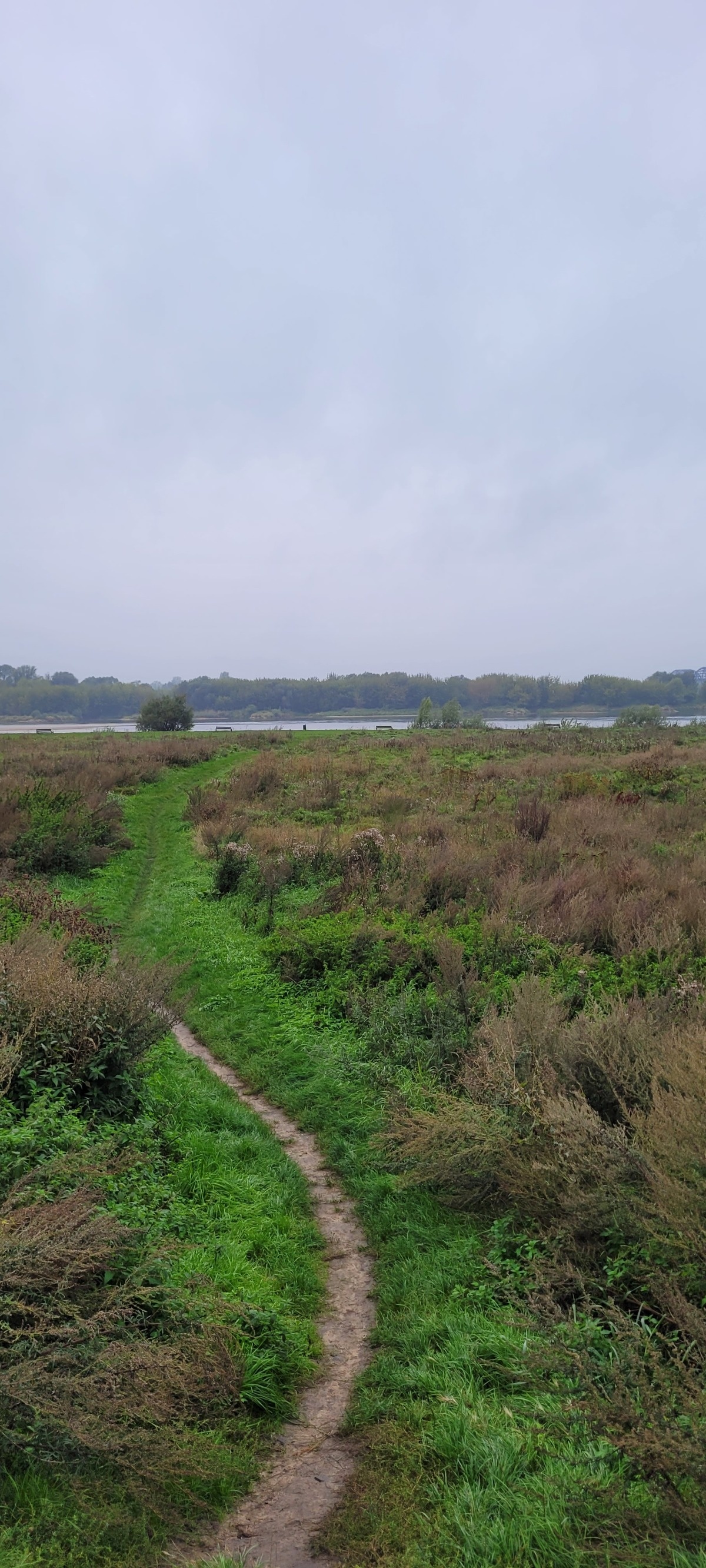 1a79f8fe-9df5-4aad-82cb-fb6e8cb2d672