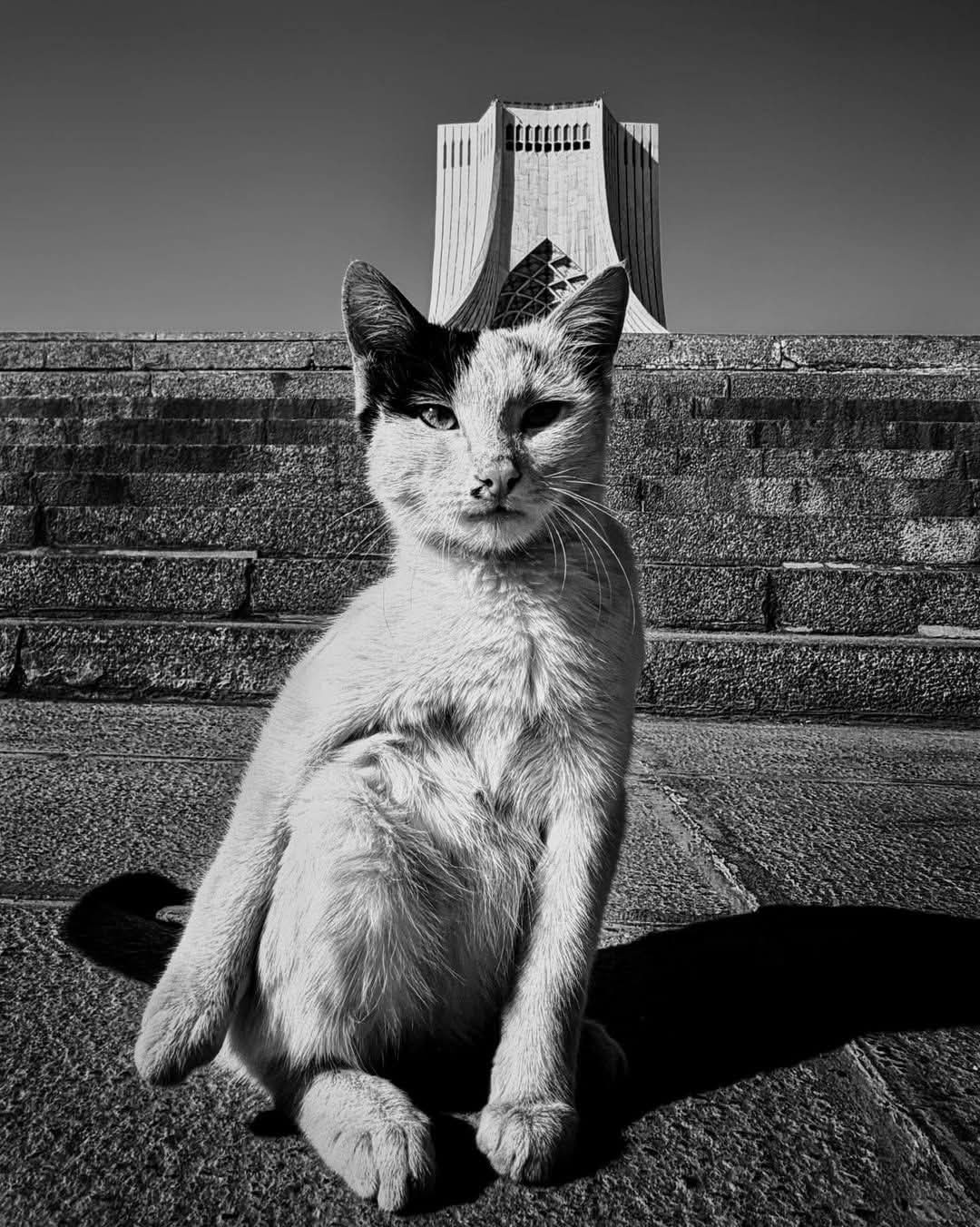 e1bc4413-5320-4a5d-baad-cd14bb3489a9