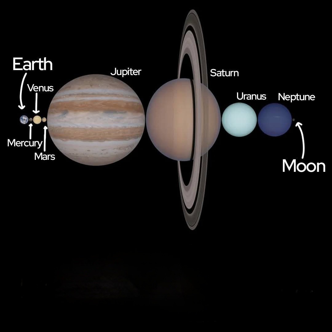 bfbb7869-3b37-456d-b64d-34b8ba36a21c