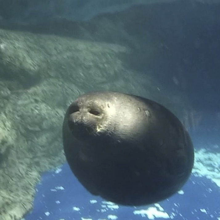 6c865263-7de1-4f37-b6f0-a893b28b471a