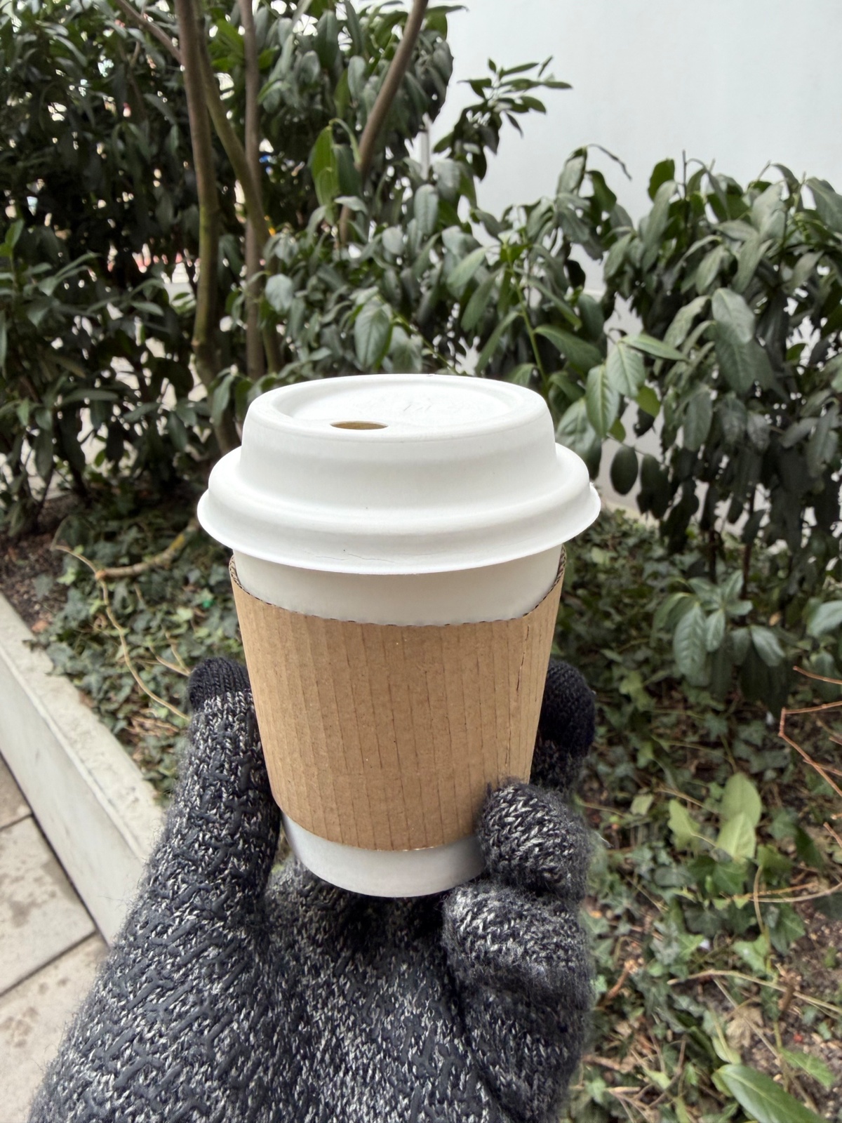 b6138d55-c457-45b2-a9c3-04c0d687acaf