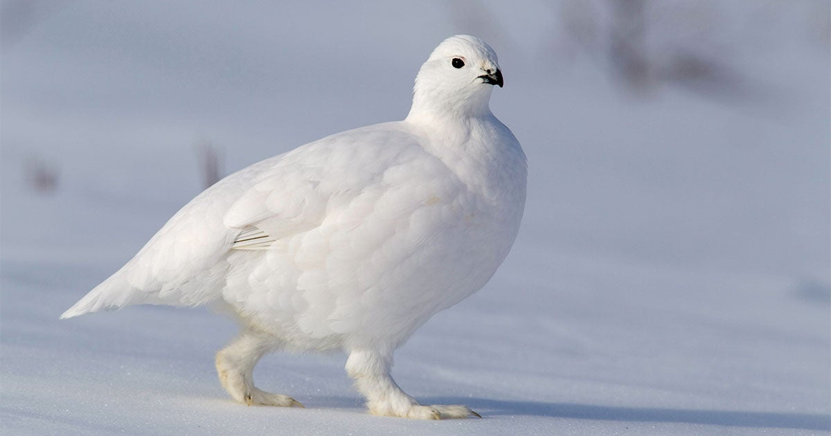 6e3a8112-d8eb-409f-b9bf-05a0460ac1c4