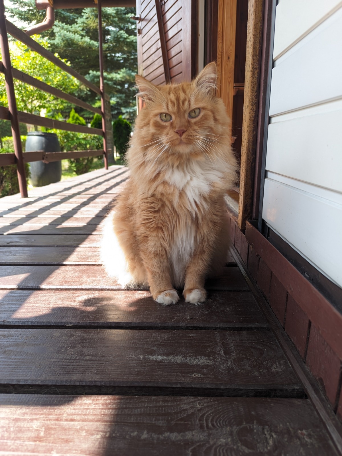 77d36758-5077-41be-ac1b-efa4d908767a