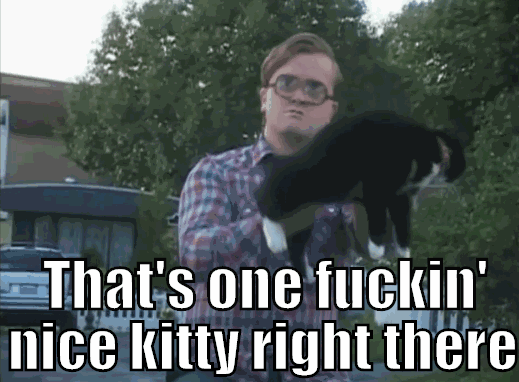 81cc0a06-f666-4830-ad68-4578a297eca6