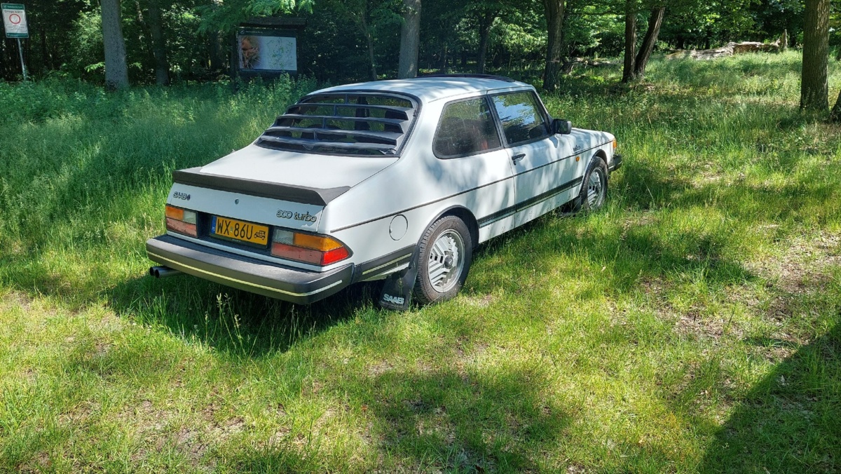 e6a274b1-4968-4022-b028-c71d6fcd0ddc