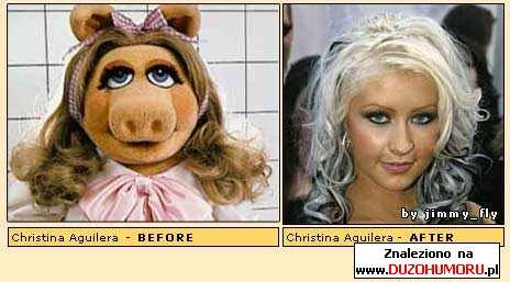 c65981cb-9a4a-4ba2-873e-9ede33fb3bdf