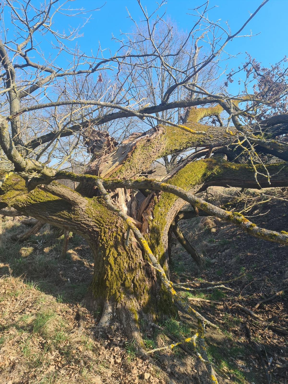 1e027f21-47f3-4d5b-b138-0ed85431e40e