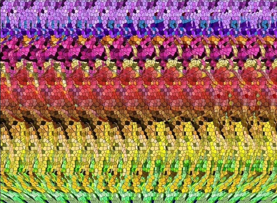 5bb8e48c-87d0-4fee-90dd-3cbaf6d58017