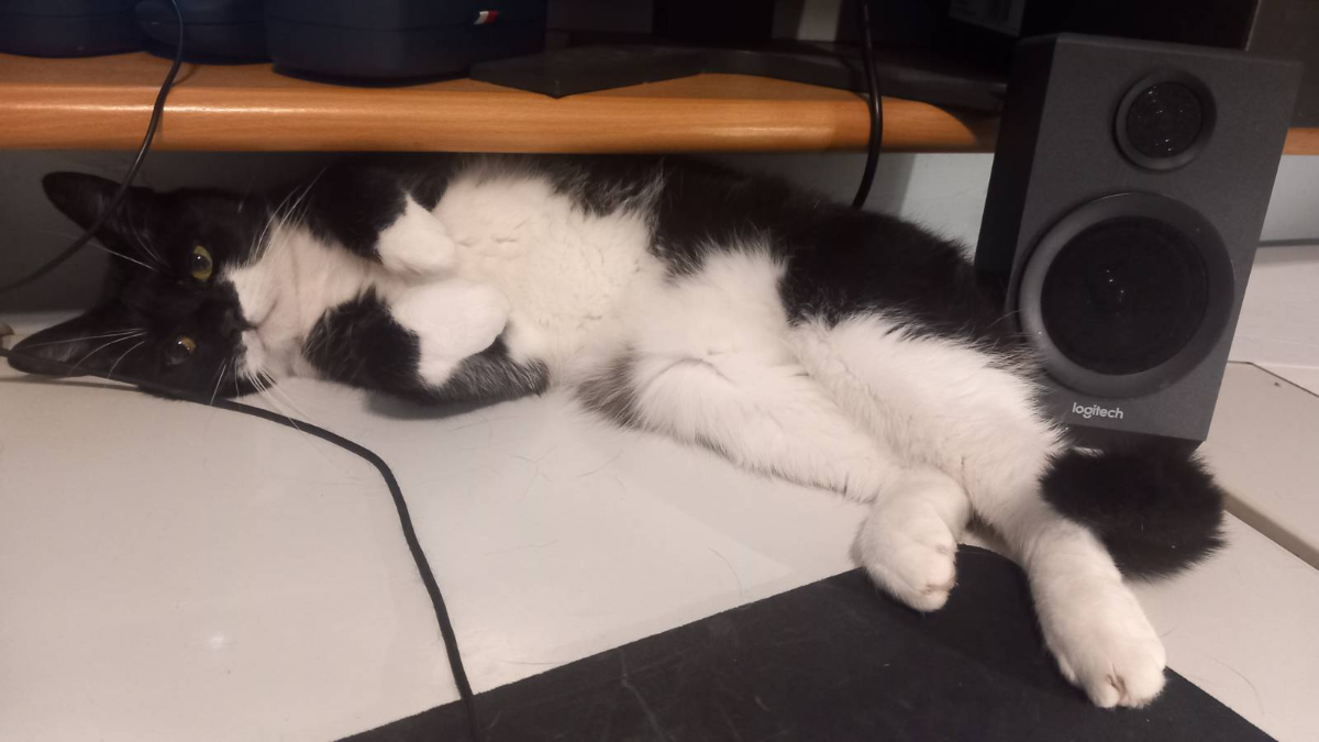 f174e470-b4b2-4e5d-9392-038609572809