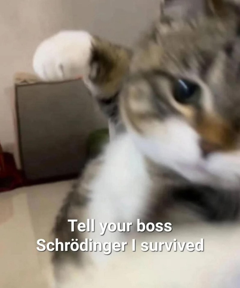 8ded5613-d379-4bee-a4b8-579556d2b976