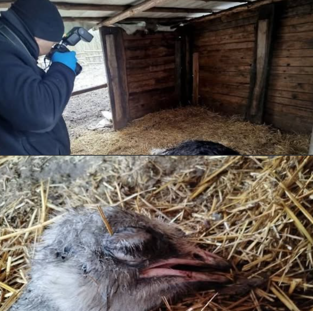 64682fd9-91a8-49e2-8c01-70c6f5afe934