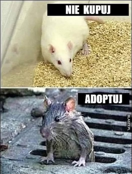 58d9fbd1-dd7f-4515-a82a-b52a097ca6ef