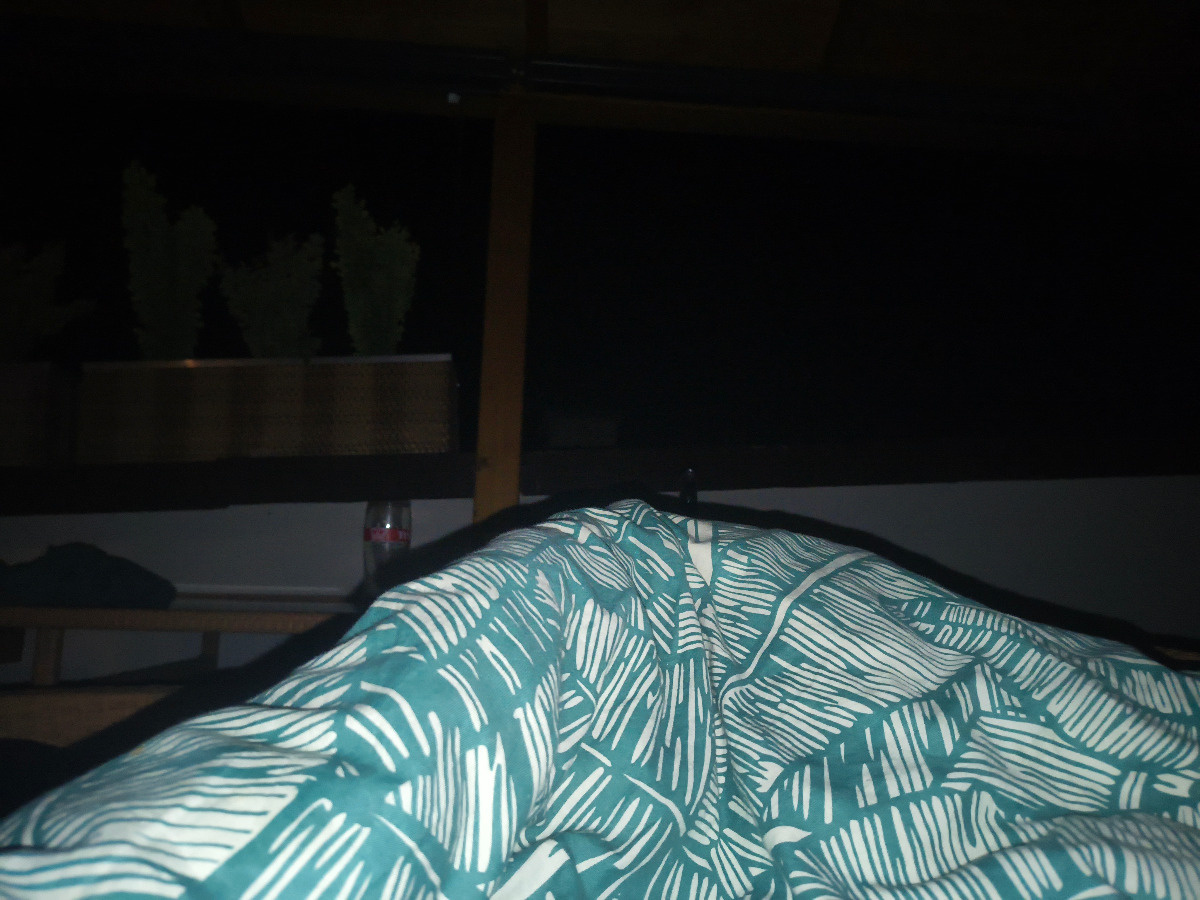 ab532c2a-16a1-4881-b85a-0e87cbda8eb5