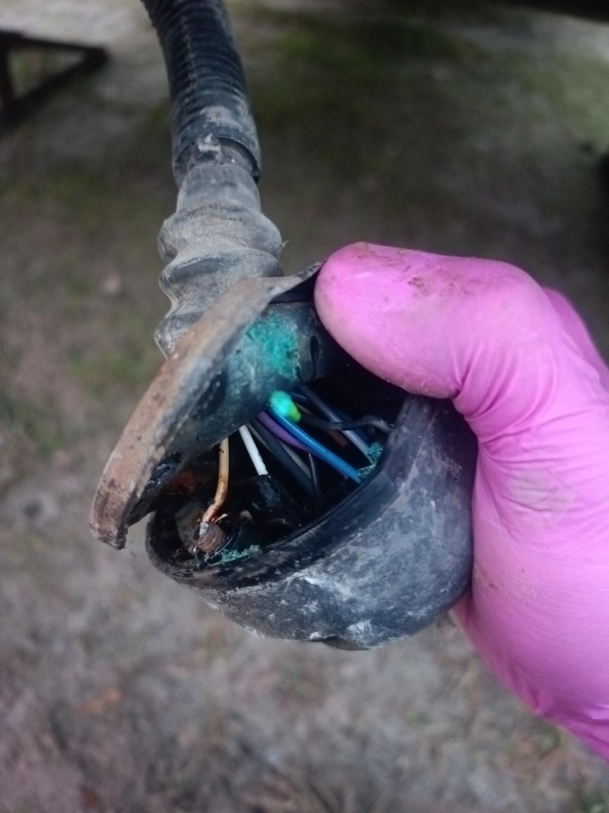 e287f0d8-0f0f-4285-b2b5-463c8da1633a