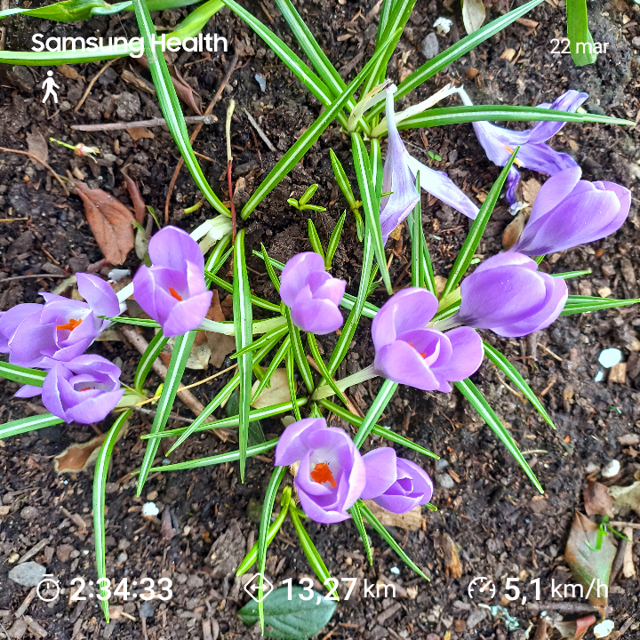 2266db99-ad68-46fe-974b-2d15e6997737