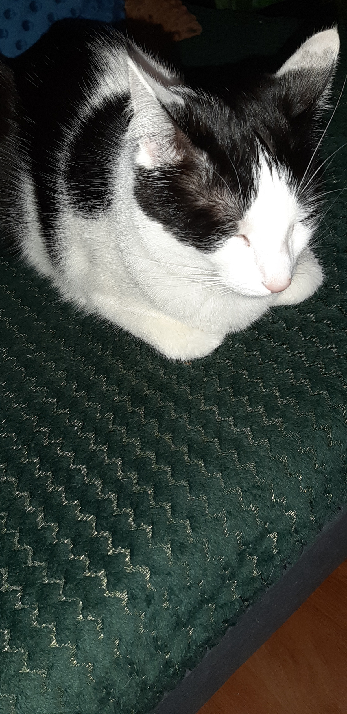 40eabec4-41b9-4dff-855a-da28441ee8c8