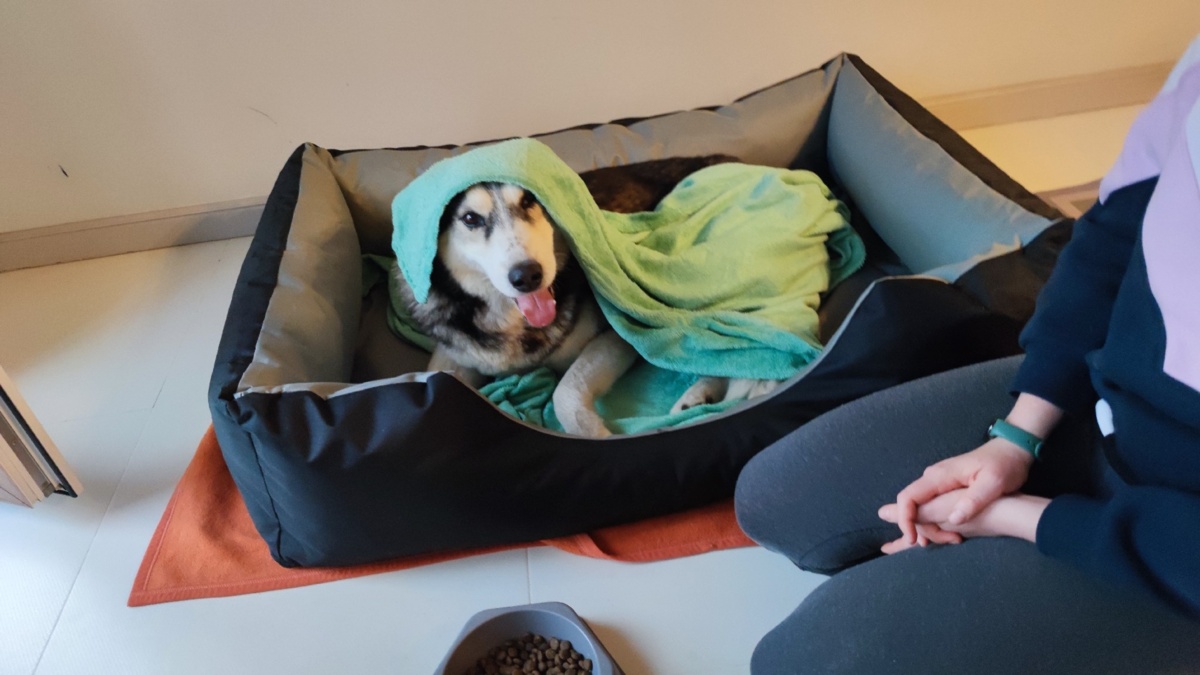 d689b0e3-11e9-4146-8f70-9f6db449c12a