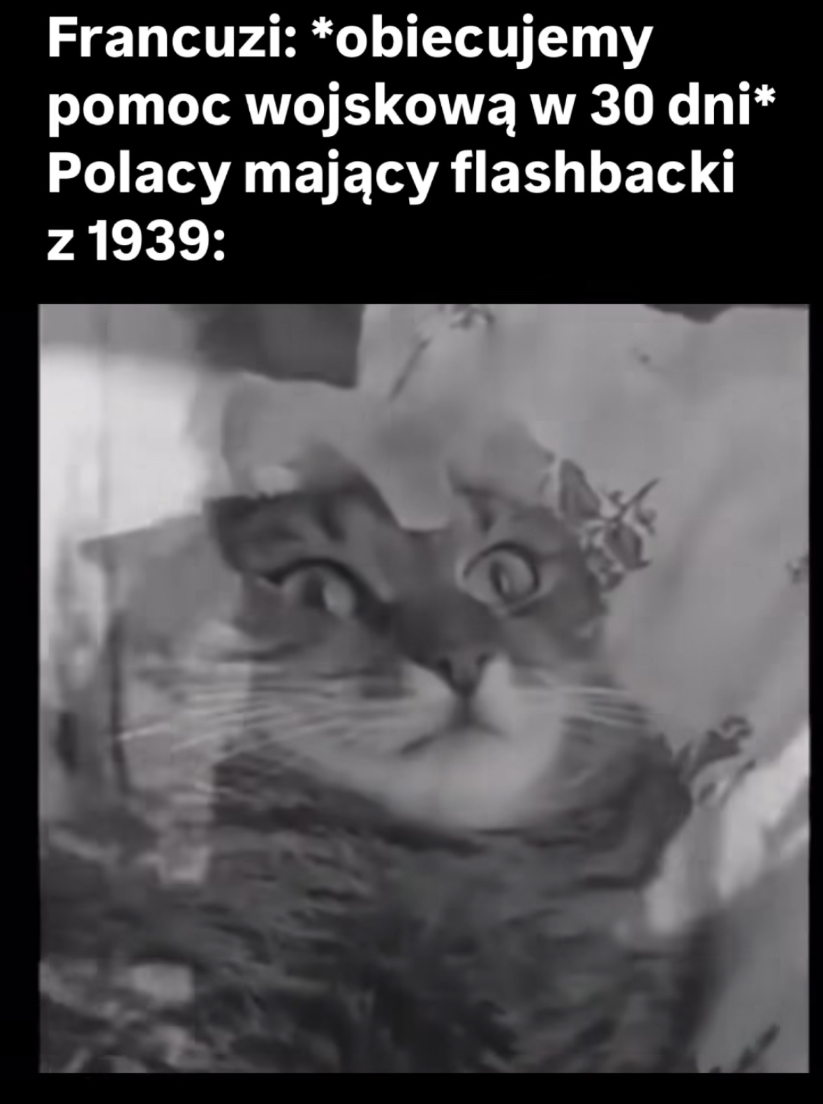 a3824a59-31e4-4836-b566-f317446e2584