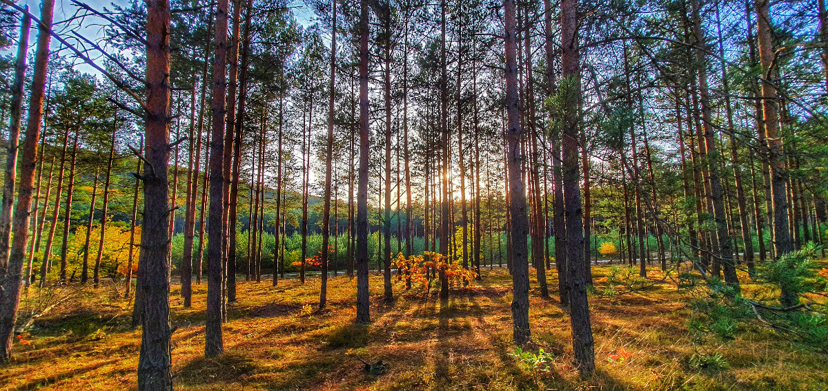 0e790e3b-4e63-40e3-bac6-c732599750b9