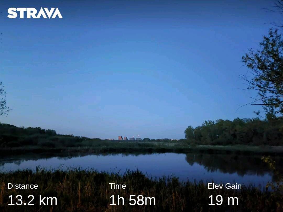 d5e897fa-2fdf-4123-8f03-4096f34fec9b