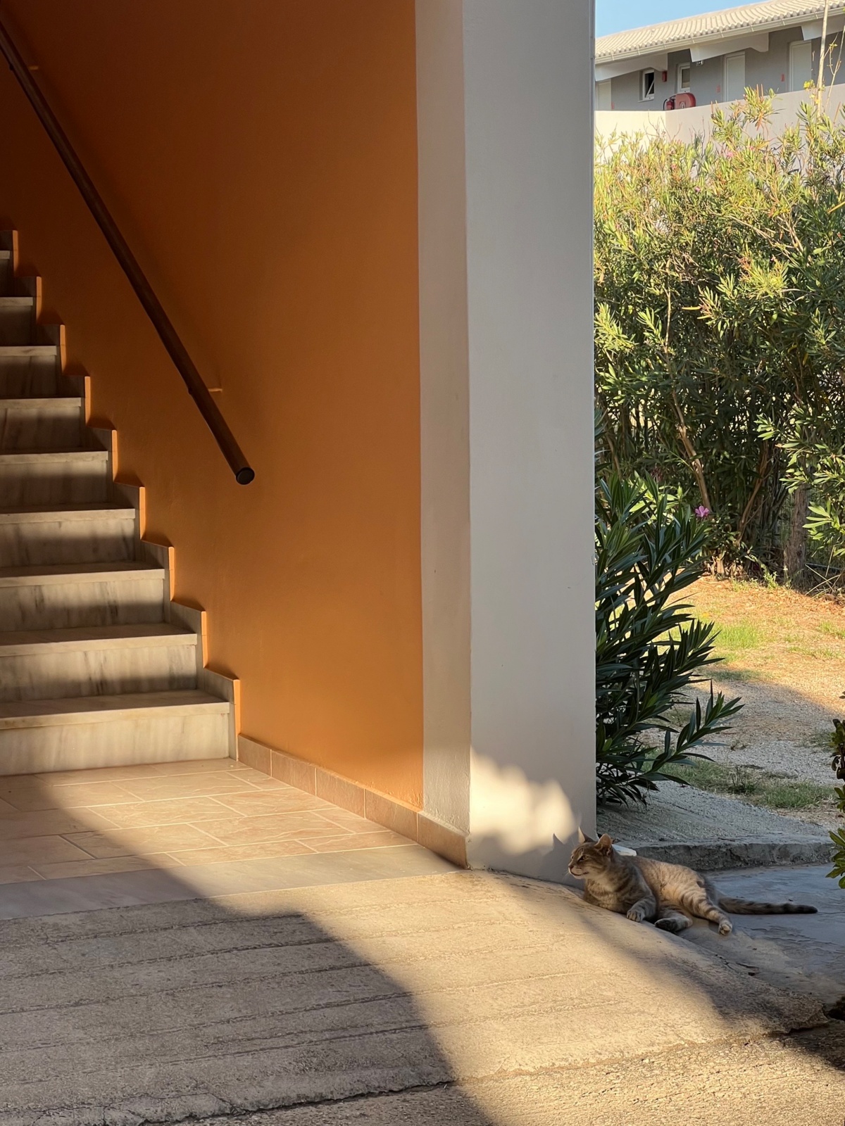 1497f29c-bf40-42c9-ab3d-d31f6c71d17c