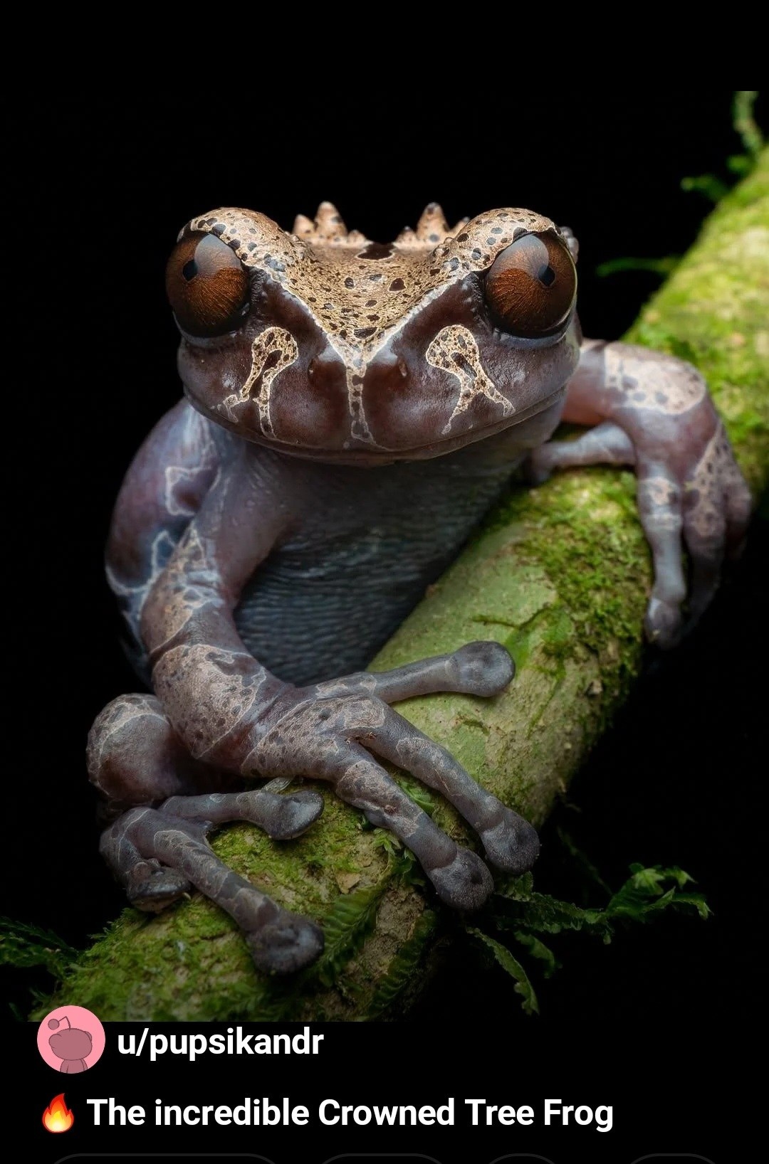 b3c3a452-17bf-4202-9932-73a2772e269e